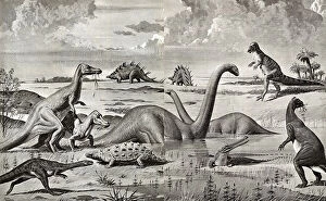 Prehistory Gallery: Dinosaurs of the Mesozoic Era - China