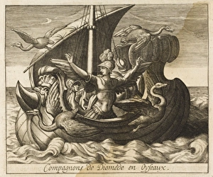 Diomedes Gallery: Diomedes Companions