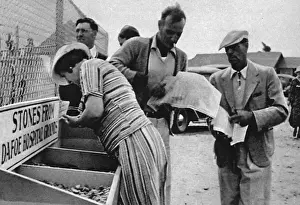 Oddities Prints: Dionne quintuplets, 1936: souvenir stone sought by tourists