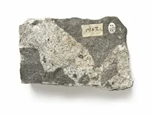 Diorite intruded by microgranite