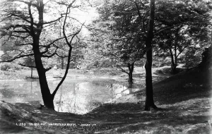 Showcasing Prints: In the Dip, Hampstead Heath