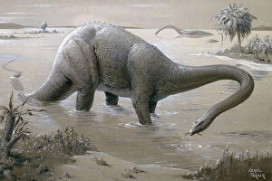 Extinct Gallery: Diplodocus