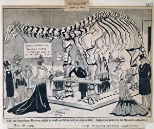 Diplodocus carnegiei