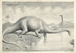 Extinctmonstersandcreaturesofotherdays Prints: Diplodocus carnegii