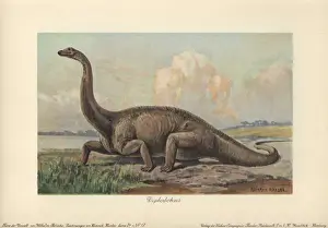 Jurassic Prints: Diplodocus is a genus of extinct diplodocid