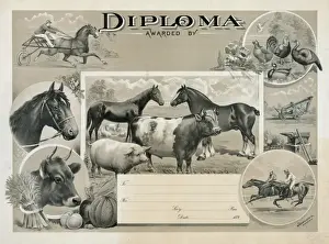 Diploma awarded by