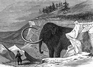 Surprised Gallery: Discovery of the Adams mammoth, 1799