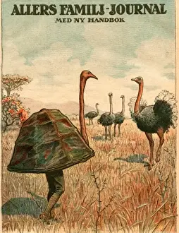 Disguise for Ostrich Pic