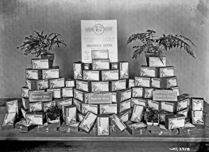 Sending Prints: A display of shamrock boxes on a table for sending to the tr