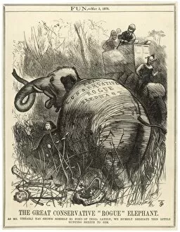 Havoc Gallery: Disraeli / Elephant / India