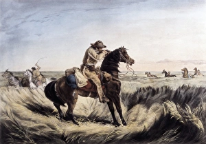 Lithographies Collection: Keep Your Distance, Currier and Ives, (active 1857-1907)