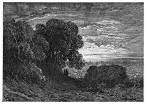 Distant View