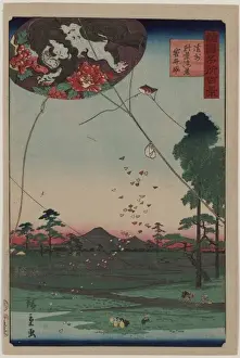 Distant view of Akiba of Enshu: kites of Fukuroi