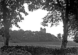 Distant view of Audleys Castle, Strangford