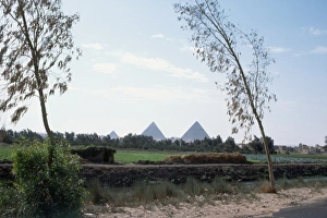 Greenery Gallery: Distant View of Pyramids