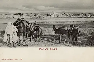 Distant view of Tunis, Tunisia, North Africa