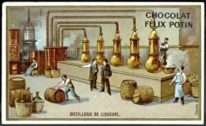 Aperitifs Collection: Distilling Liqueurs