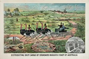Distributing Prints: Distributing ship cargo of standard buggies coast of Austral