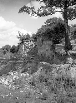 Disused Prints: Disused quarry at Mereworth