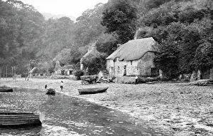 Dart Prints: Dittersham on Dart early 1900's