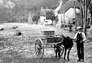 Dart Prints: Dittisham, Devon