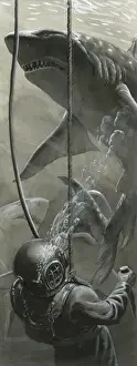 The Last Dive