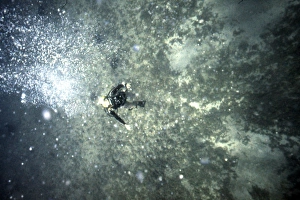 Images Dated 11th September 2015: Diver ascending from depth in the Mediterranean