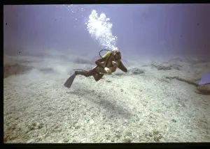 Diver on the seabed