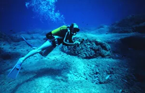 Diver on the seabed off the coast of Malta