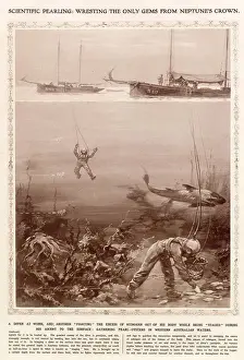 Divers Prints: Divers gathering pearl-oysters in Western Australia waters