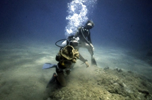 Images Dated 11th September 2015: Divers on the seabed off the coast of Malta