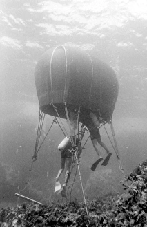 Images Dated 4th September 2015: Divers with underwater house off the coast of Malta