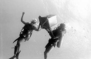 Divers underwater off the coast of Malta Divers underwater off the coast of Malta