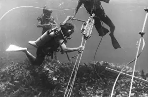 Diving, Malta 1969