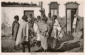 Djibouti Gallery: Djibouti, East Africa - Sellers of Animal Hides