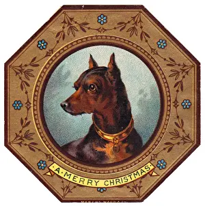 Octagon Prints: Doberman dog on plate design on a Christmas card