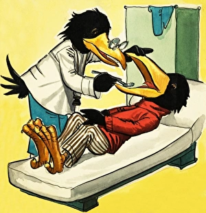 Images Dated 16th May 2007: Doctor crow