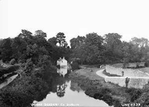 On the Dodder, Co. Dublin