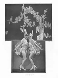 Bergere Prints: Dodge Sisters in La Grande Folie at the Folies Bergere, Pari