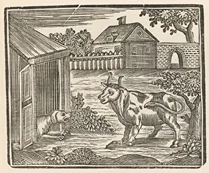 Dog Barks at Cow