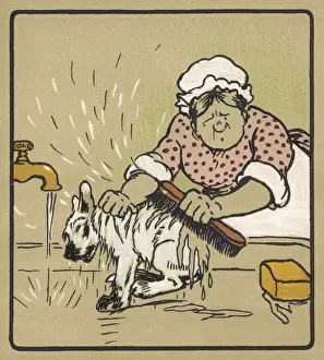 Washed Prints: Dog Bath under Cold Tap