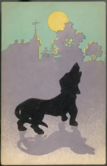 Dog Bays at Full Moon