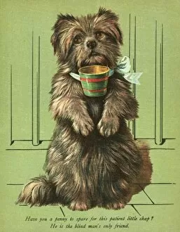 Dog Begging with Cup