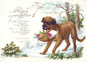 Dog carrying basket of flowers on a Christmas card
