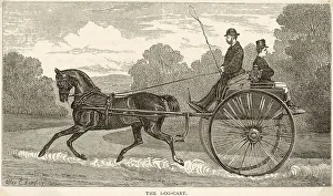 Facing Collection: DOG-CART