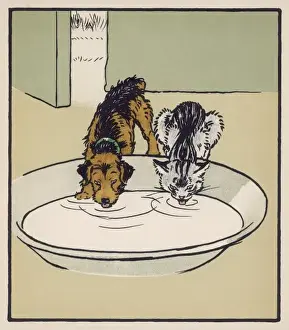 Dog and Cat Drink Milk