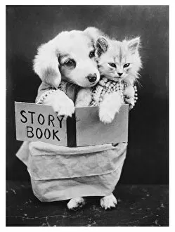 Kitten Collection: Dog and Cat Reading