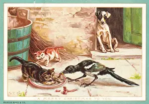 Struggling Prints: Dog, cats and bird on a Christmas card