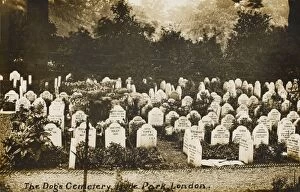 The Dog Cemetery - Hyde Park, London