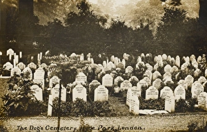 The Dog Cemetery - Hyde Park, London The Dog Cemetery - Hyde Park, London